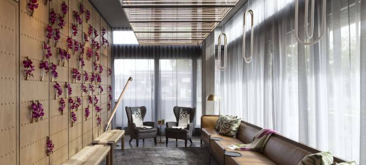 大学公园旅馆套房酒店(University Park Inn & Suites)图片