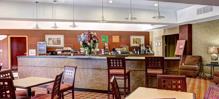 舒适套房酒店(Comfort Suites)图片