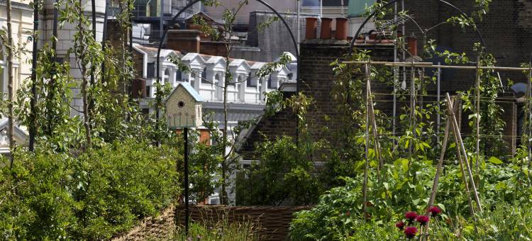 芬代尔哈姆苑酒店(HAM Yard Hotel, Firmdale Hotels)图片