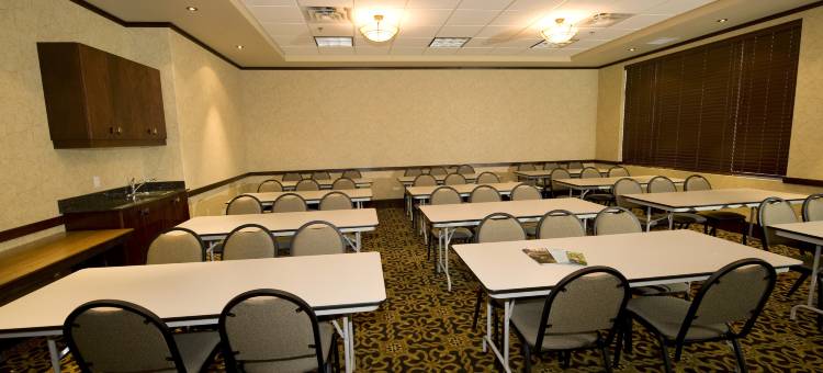 Holiday Inn & Suites 西埃德蒙顿(Holiday Inn & Suites West Edmonton)图片