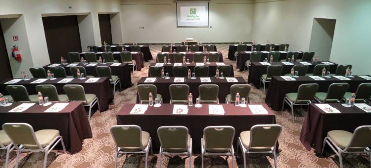 Holiday Inn 蒙特雷NORTE(Holiday Inn Monterrey Norte)图片