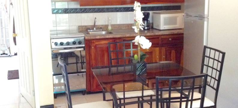 牙买加梦幻别墅(JAMAICA DREAM VILLAS)图片