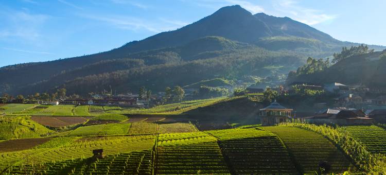 阿丽拉梭罗酒店(Alila Solo)图片