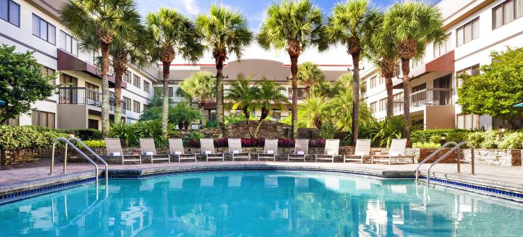 奥兰多机场喜来登套房酒店(Sheraton Suites Orlando Airport)图片