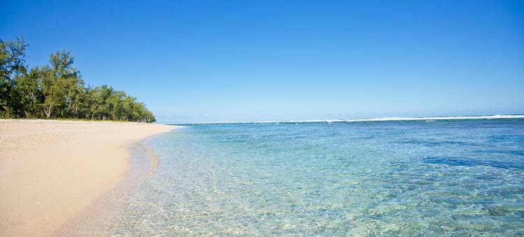 留尼旺岛暗礁酒店(Hôtel le Récif, la Réunion)图片