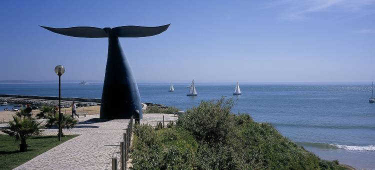 里尔欧拉斯酒店(Hotel Real Oeiras)图片