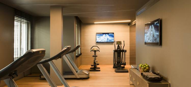 米兰罗莎格兰德 - 星际连锁酒店(Rosa Grand Milano - Starhotels Collezione)图片