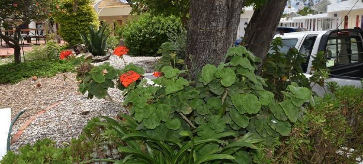 梅德拉诺酒店(Hotel Medrano Temáticas and Business Rooms Aguascalientes)图片