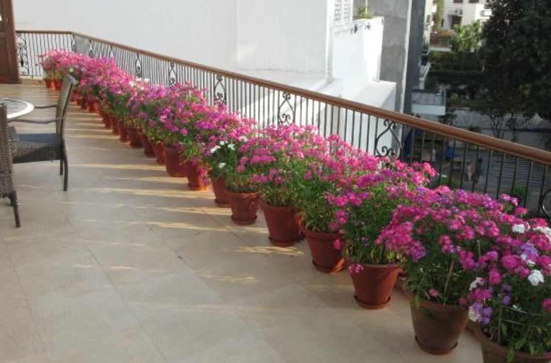 Ahuja Residency Golf Links Hotel Reviews And Room Rates - 