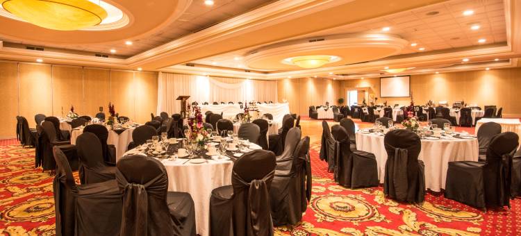 Holiday Inn & Suites 大路会议中心(Holiday Inn & Suites ST. Catharines Conf Ctr)图片