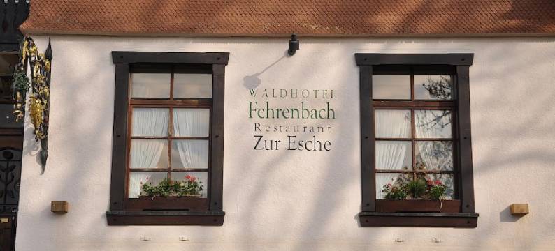 沃尔德菲润巴赫酒店(Waldhotel Fehrenbach)图片
