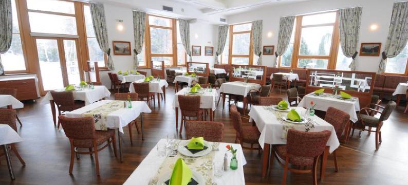 福尔曼旅馆(Penzion Forman)图片