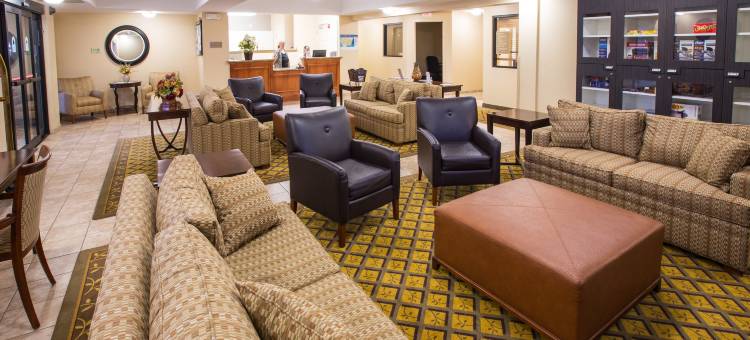 Candlewood Suites 诺克斯维尔机场，美国铝业公司 by IHG(Candlewood Suites Knoxville Airport-Alcoa by IHG)图片
