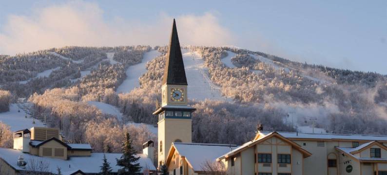 黑熊旅馆 - 施特拉顿山度假村(The Black Bear Lodge at Stratton Mountain Resort)图片