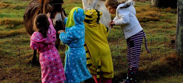 发现公园 - 玛格丽特河(Discovery Parks - Margaret River)图片