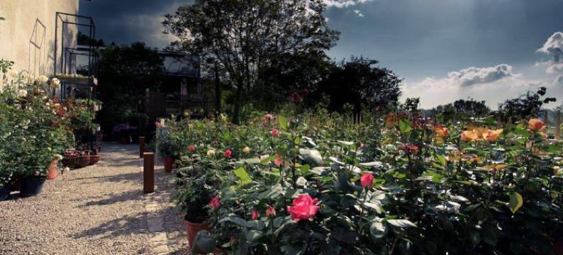 瑞恩豪富熏餐厅酒店(Hotel Rainhof Scheune & Naturpark Restaurant (Kirchzarten))图片