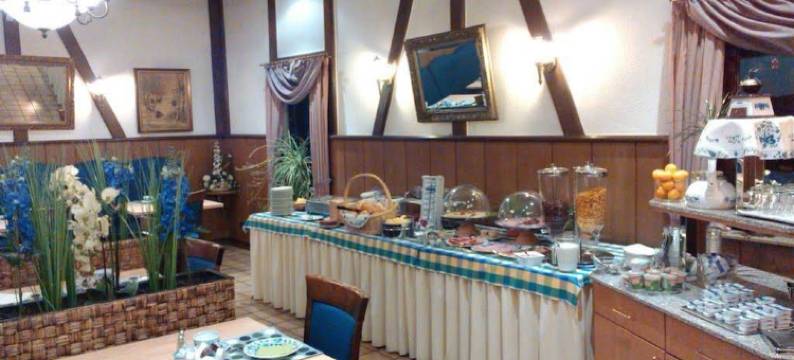 科隆波恩机场 GZ 酒店(GZ Hotel Airport Köln Bonn)图片