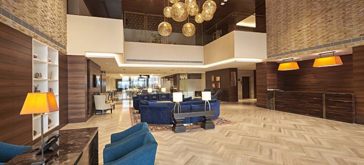 郁金香酒店齐拉克普尔(Tulip Inn Zirakpur)图片