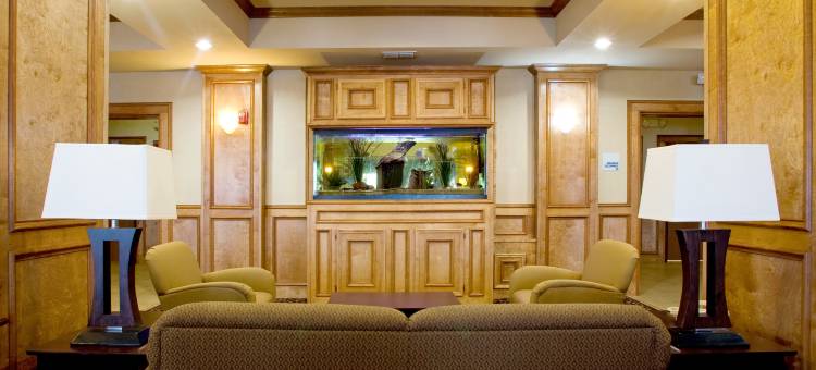 智选假日套房酒店金斯维尔(Holiday Inn Express & Suites Kingsville)图片