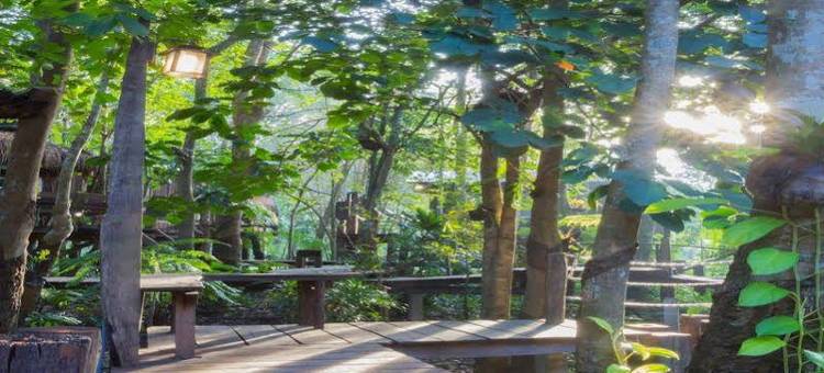 欧树度假村(Oh Tree Resort)图片