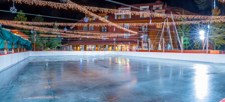 万豪乡村别墅酒店(Marriott's Timber Lodge)图片
