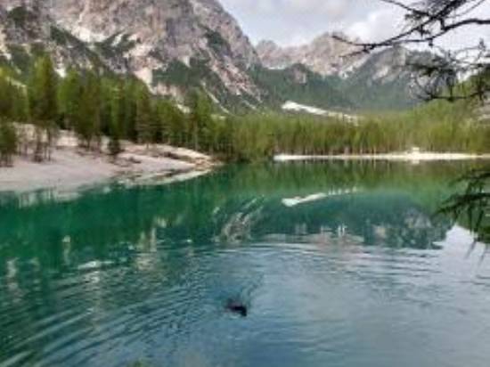 Dolomit24 Design Apartments Hotel Reviews And Room Rates
