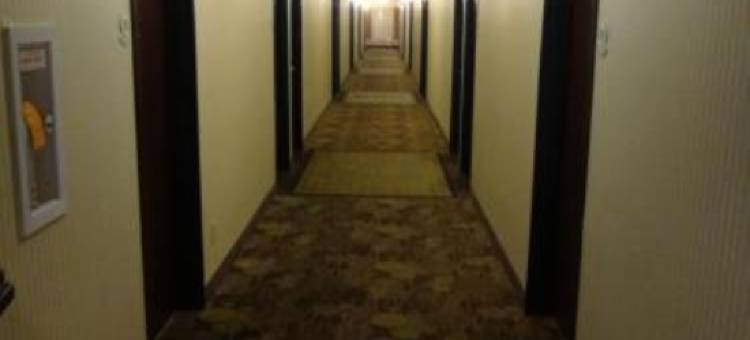 Windsor Inn & Suites图片