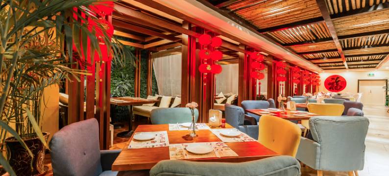 满洲里多利斯艺术酒店图片