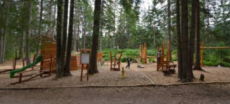 阿德里安娜旅馆(Chalets Adriana)图片