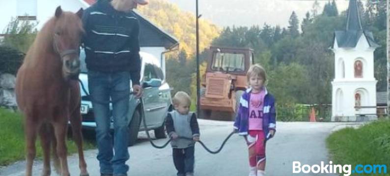 Apartments Pri Boštjanovcu图片