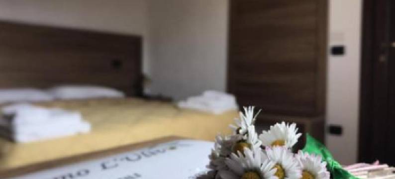 橄榄树农家乐(Agriturismo l'Ulivo)图片