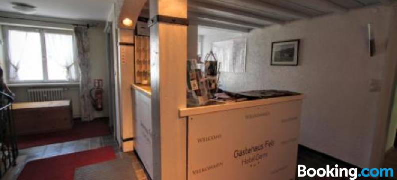 嘉妮费尔斯酒店(Hotel-Garni Fels)图片