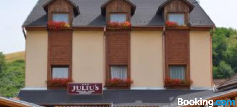 Juliu's Panzio Csikszereda图片