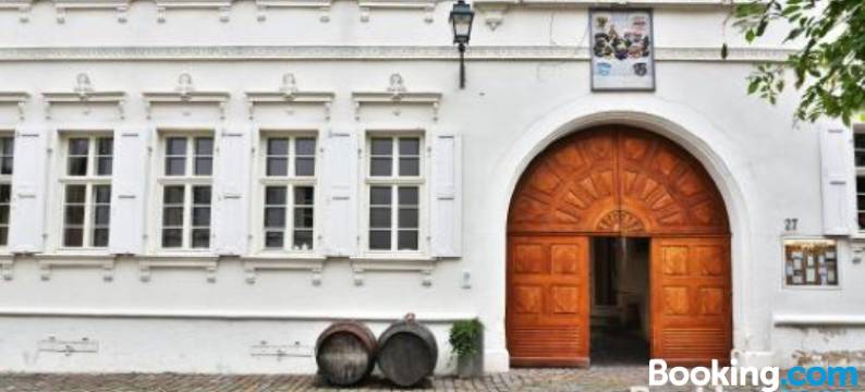 奥特斯坦德索夫弗赖因斯海姆酒店(Altstadthof Freinsheim)图片