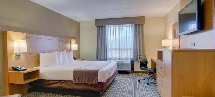 皇家广场贝斯特韦斯特酒店及贸易中心(Best Western Royal Plaza Hotel and Trade Center)图片