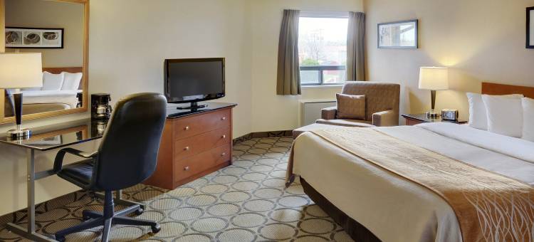 机场东部舒适酒店(Comfort Inn Airport East)图片