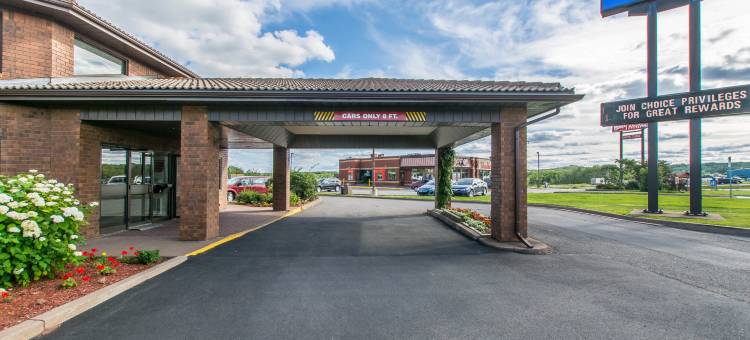 舒适酒店(Comfort Inn)图片