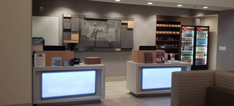 Holiday Inn Express 坦帕北 - 电信公园(Holiday Inn Express Tampa N I-75 - University Area)图片