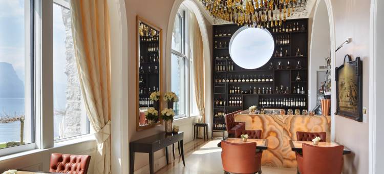 菲茨瑙公园酒店(Park Hotel Vitznau)图片