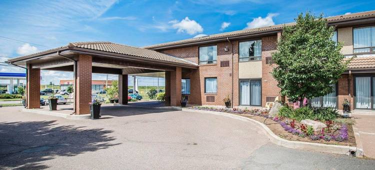 舒适酒店(Comfort Inn)图片