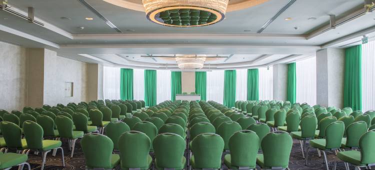 丽柏酒店-伊斯坦布尔阿塔图尔克机场(Park Inn by Radisson Istanbul Ataturk Airport)图片