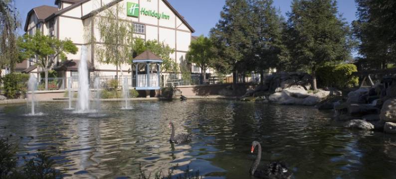 塞尔玛斯旺考特假日酒店(Holiday Inn SELMA-SWANCOURT by IHG)图片