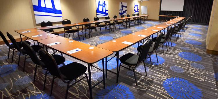 圣亚森特智选假日套房酒店(Holiday Inn Express & Suites Saint - Hyacinthe)图片