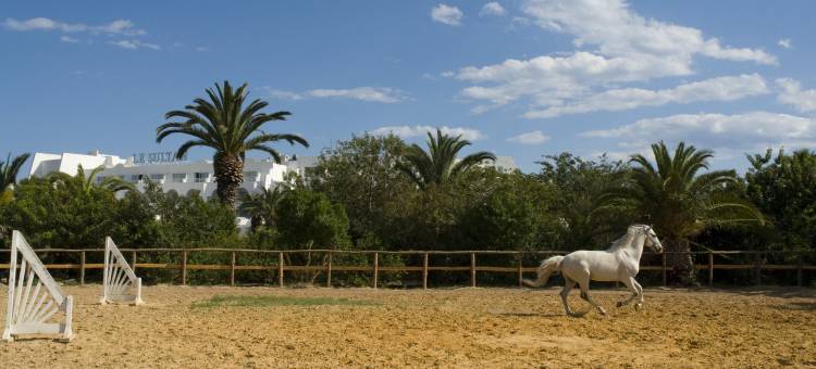 巴迪拉成人酒店(La Badira - Adult Only)图片