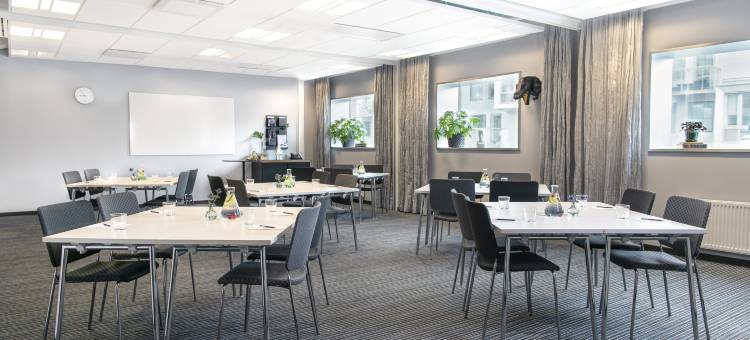 丽笙蓝标河畔酒店(Radisson Blu Riverside Hotel Gothenburg)图片