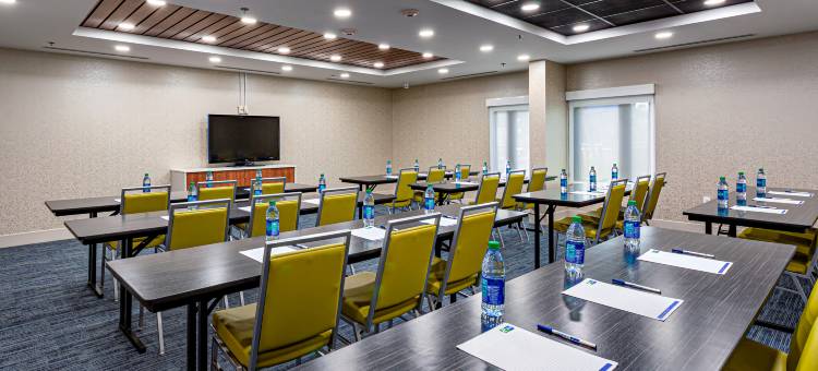 Holiday Inn Express 坦帕布兰登(Holiday Inn Express Tampa-Brandon)图片