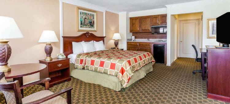 罗斯维尔/底特律地区温德姆戴斯套房酒店(Days Inn & Suites by Wyndham Roseville/Detroit Area)图片