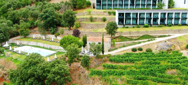 杜罗宫水疗度假村酒店(Douro Palace Hotel Resort & Spa)图片