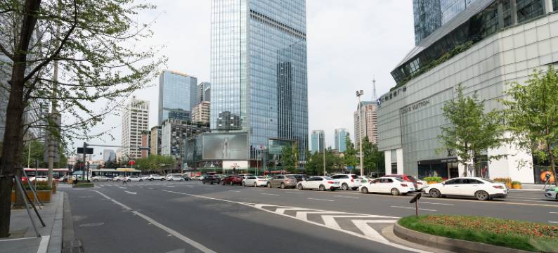成都大成宾馆(四川省人大会议中心)图片