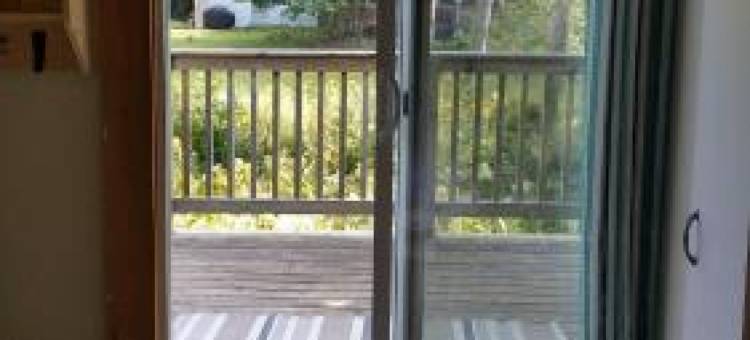 23枫(23Maple)图片